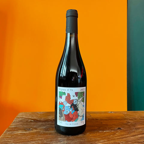 Domaine Bariou Bodet - Vignes d’Ys 2022