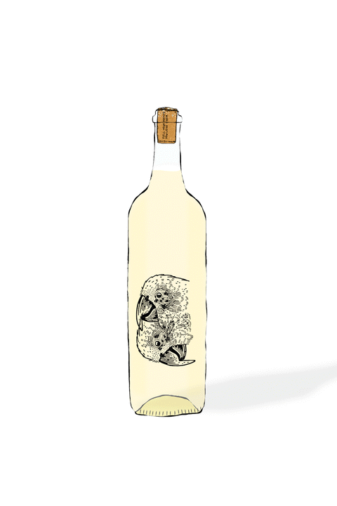 FIN Wines - Dandelions and Bumblebees 2023