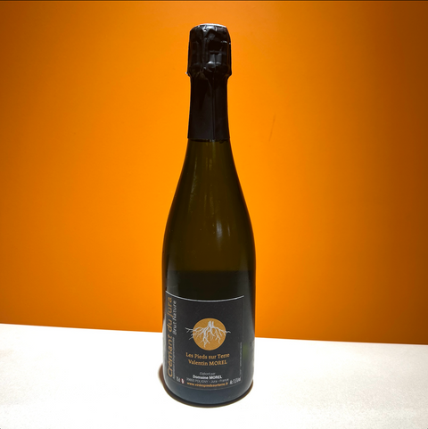Domaine Valentin Morel - Crémant Du Jura "Les Pieds Sur Terre" Brut Nature (NV)