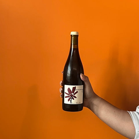 Hervé Villemade - Cheverny 'Domaine' Rouge 2021