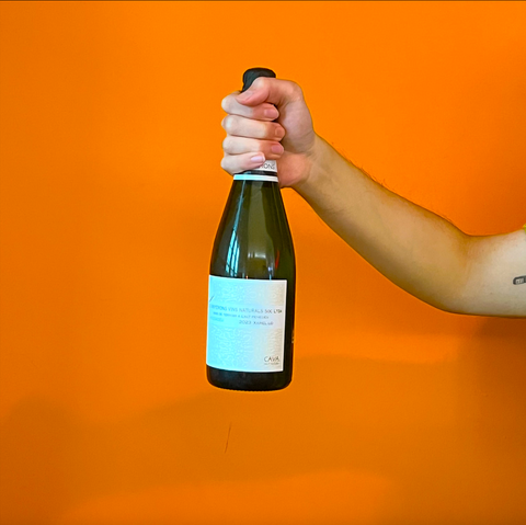 Els Vinyerons - Pregadéu Cava Brut Nature 2023